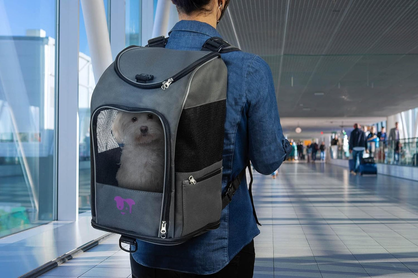 2-in-1 Pet Backpack Travel Carrier, Airline Approved & Guaranteed On Board - Gray, Medium