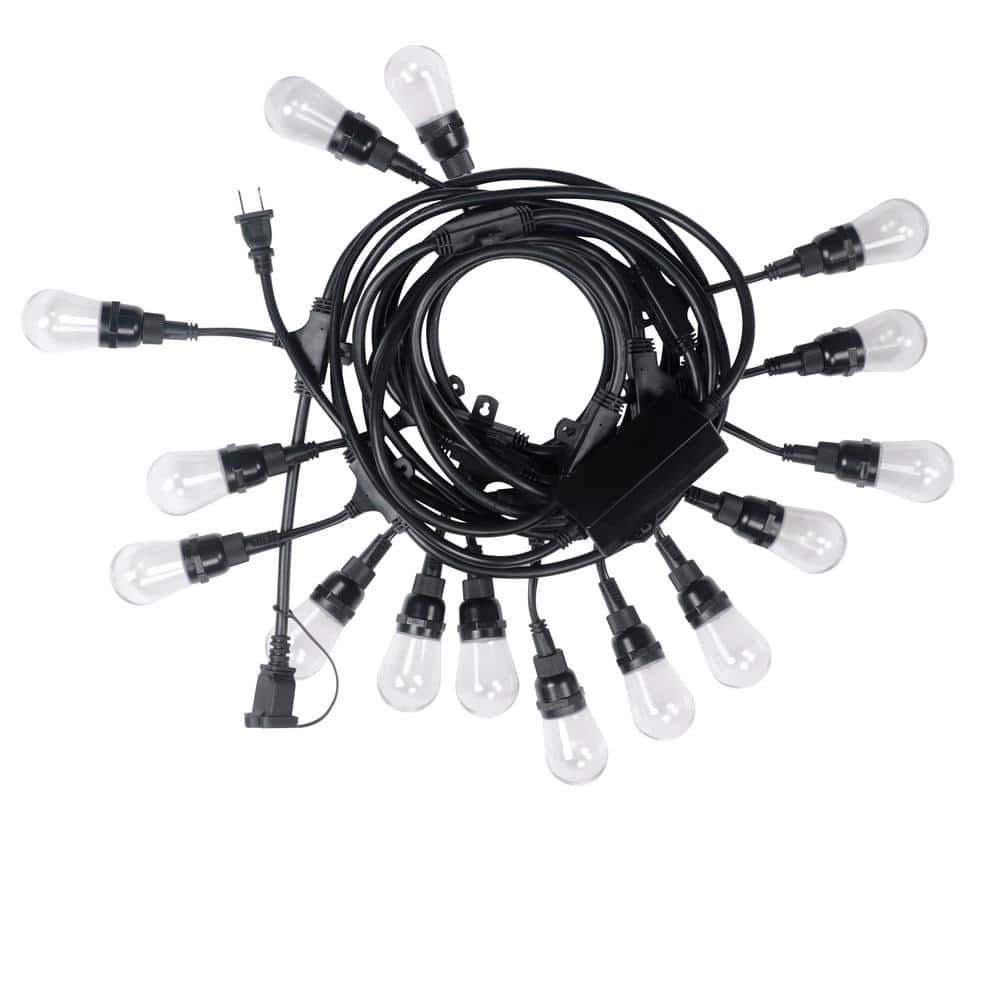 Outdoor/Indoor 48 ft. Plug-In Edison Bulb Color Changing LED String Lights with Remote Control