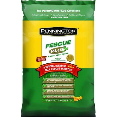 Pennington Kentucky 31 Tall Fescue Penkoted Grass Seed 50lb