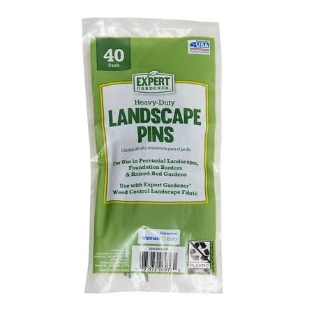 Expert Gardener 4 in Steel Landscape Pins  40 Pack