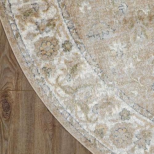 Nourison Astra Machine Washable Distressed Area Rug