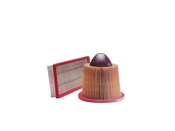 CARQUEST Air Filter R88203