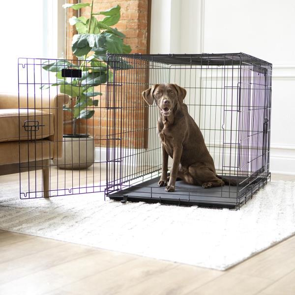 Vibrant Life Double Door Metal Wire 42  Dog Crate  Leak-Proof Pan and Divider for Dogs Upto 90 Lb