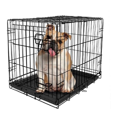 Vibrant Life  Single-Door Folding Dog Crate with Divider  Large  36