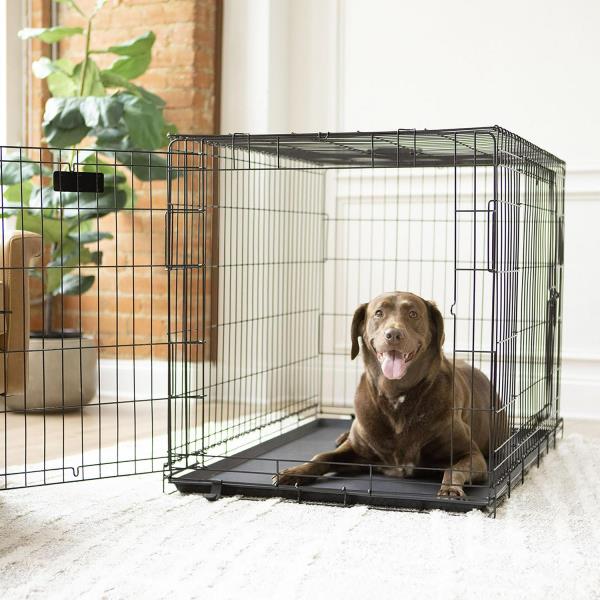 Vibrant Life Double Door Metal Wire 42  Dog Crate  Leak-Proof Pan and Divider for Dogs Upto 90 Lb