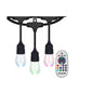 Outdoor/Indoor 48 ft. Plug-In Edison Bulb Color Changing LED String Lights with Remote Control