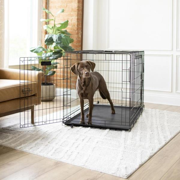 Vibrant Life Double Door Metal Wire 42  Dog Crate  Leak-Proof Pan and Divider for Dogs Upto 90 Lb