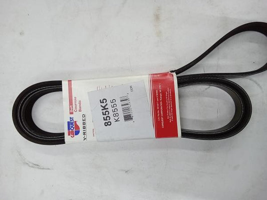 CARQUEST 855K5 K8555 V-Ribbed Belt