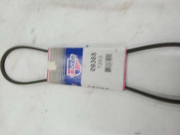 Carquest Dayco Belt 09365